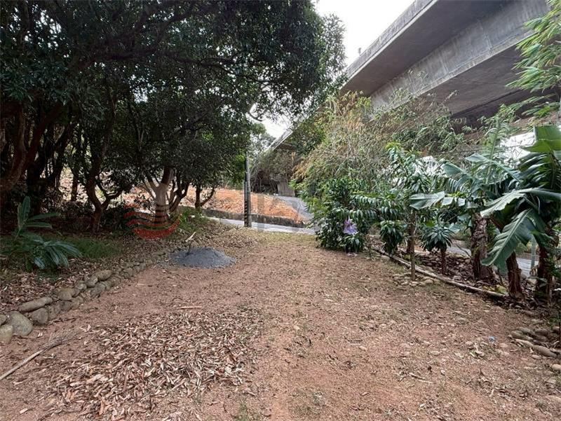 沙鹿小巧保護地 照片1