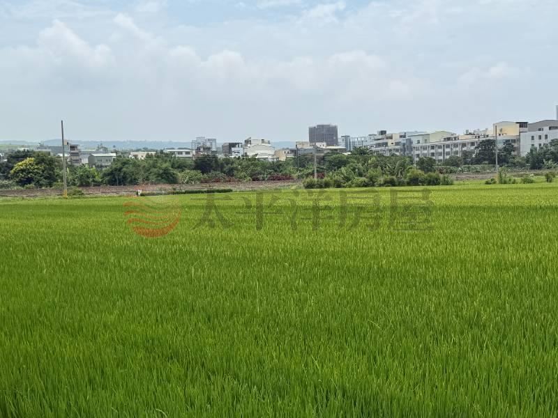鹿寮建地可蓋兩戶 照片4