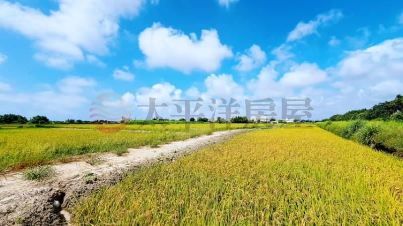 專任臨港路旁鐵路綠地用地 照片1