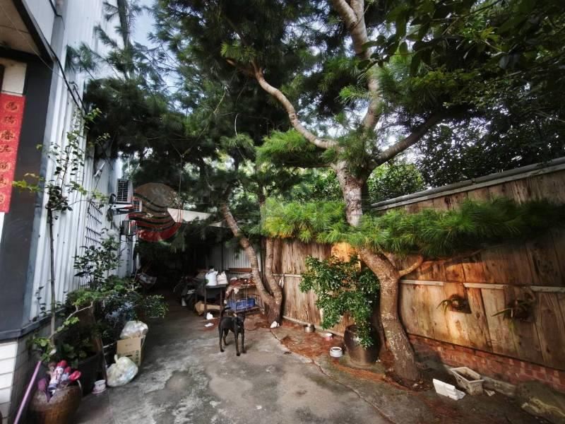 東海合法鋼構農舍別庄 照片3