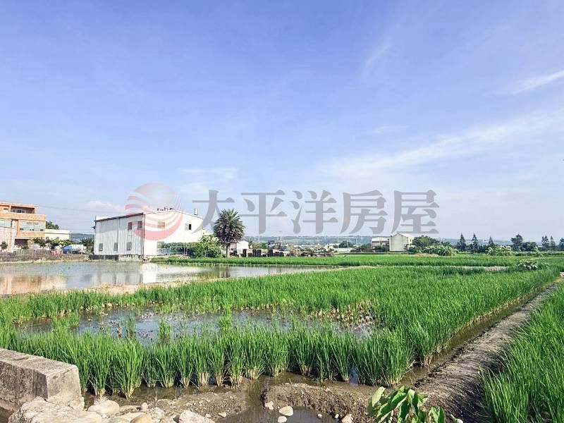 台中清水高美農地2 照片1
