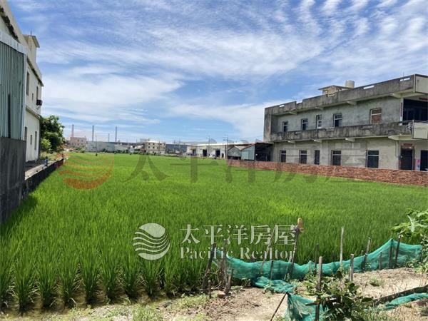 【龍津持分農地】 照片1