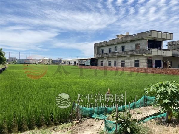 【龍津持分農地】 照片2