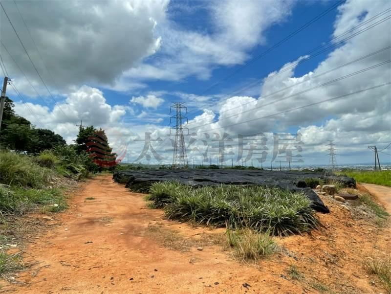 航空城旁投資美地 照片2