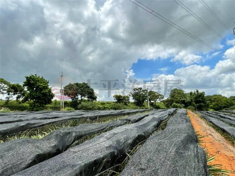 航空城旁投資美地 照片4