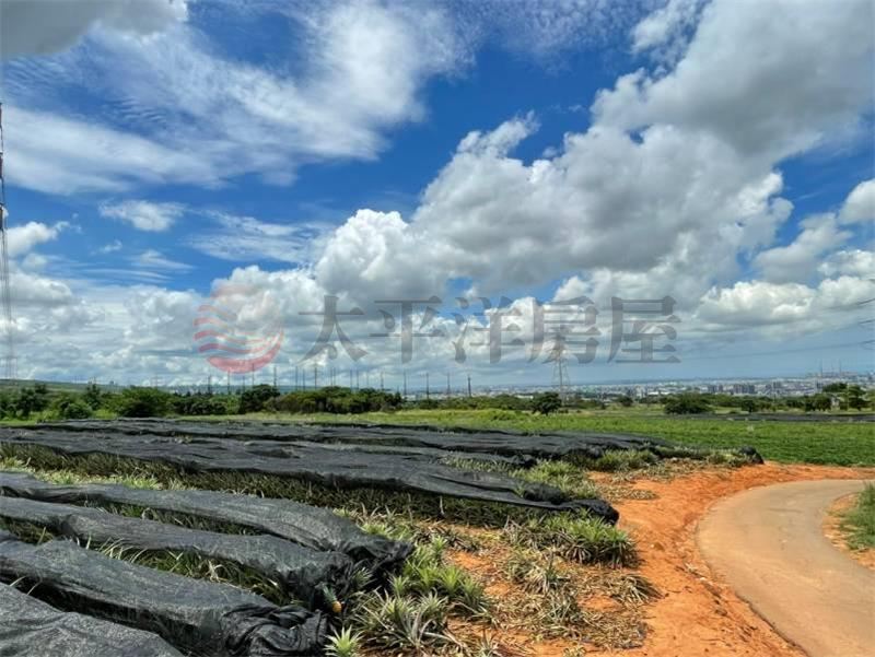 航空城旁投資美地 照片5