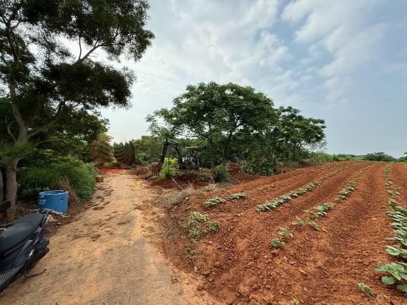 靜宜大學後保護地 照片2