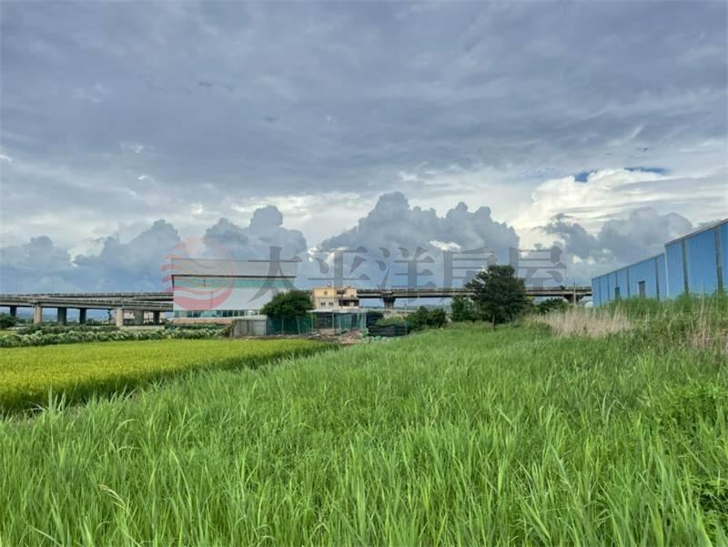 清水假日農夫休閒農地 照片1