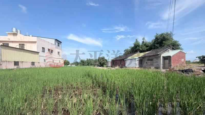 清水千坪大農地|買地送厝 照片1