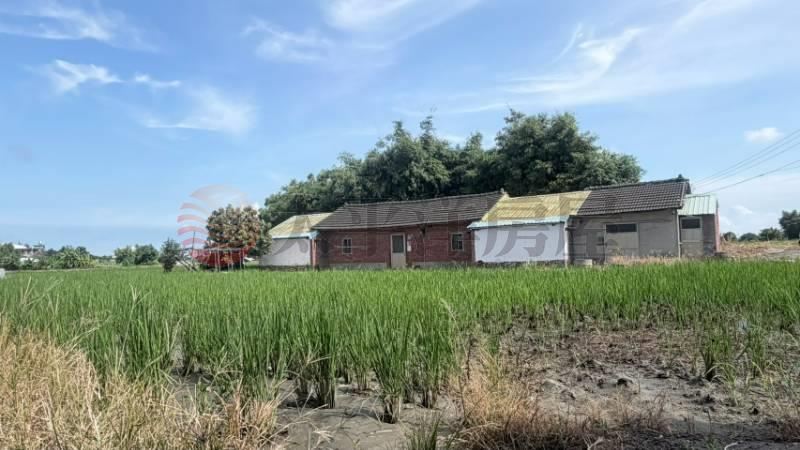 清水千坪大農地|買地送厝 照片2