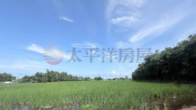 清水千坪大農地|買地送厝 照片3