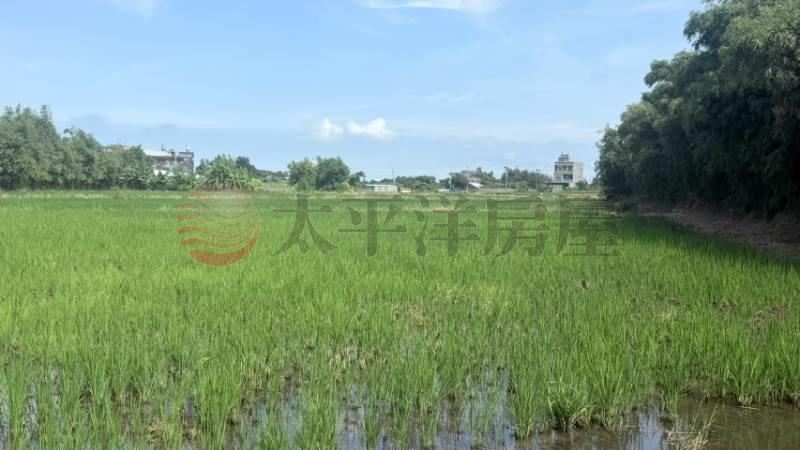 清水千坪大農地|買地送厝 照片5