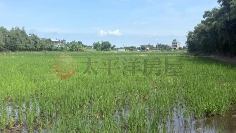 清水千坪大農地|買地送厝 照片7