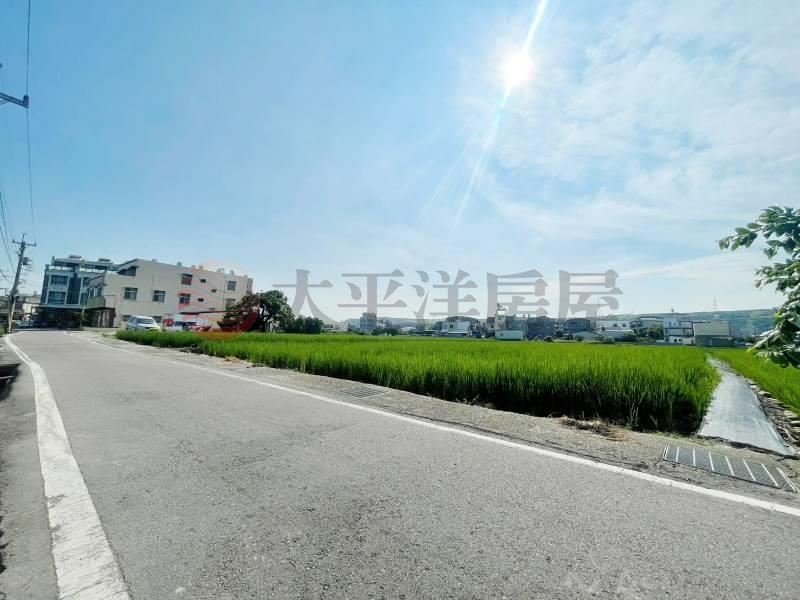三田國小旁臨路農地 照片2