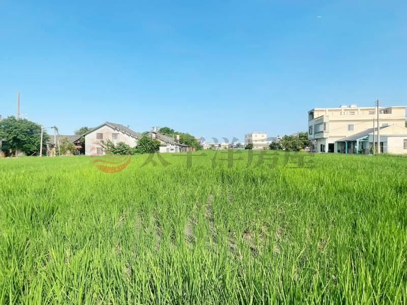 三田國小旁臨路農地 照片3