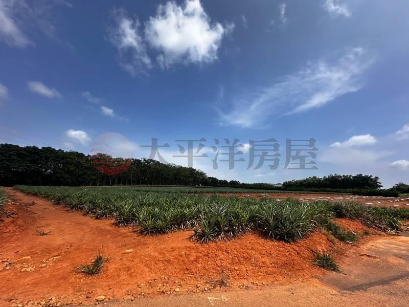 近機場大面寬農地 照片5