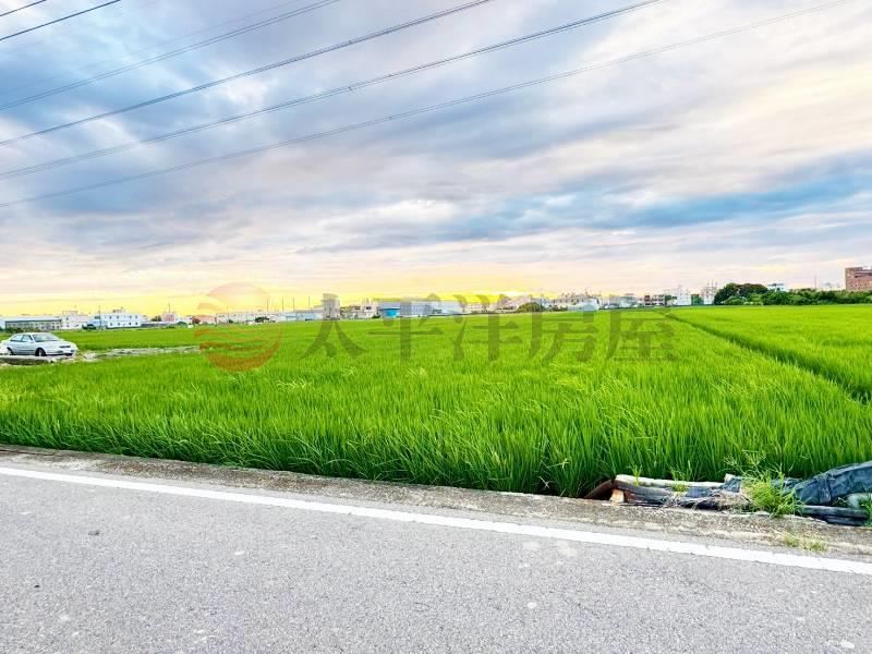 梧棲農地-876 照片1