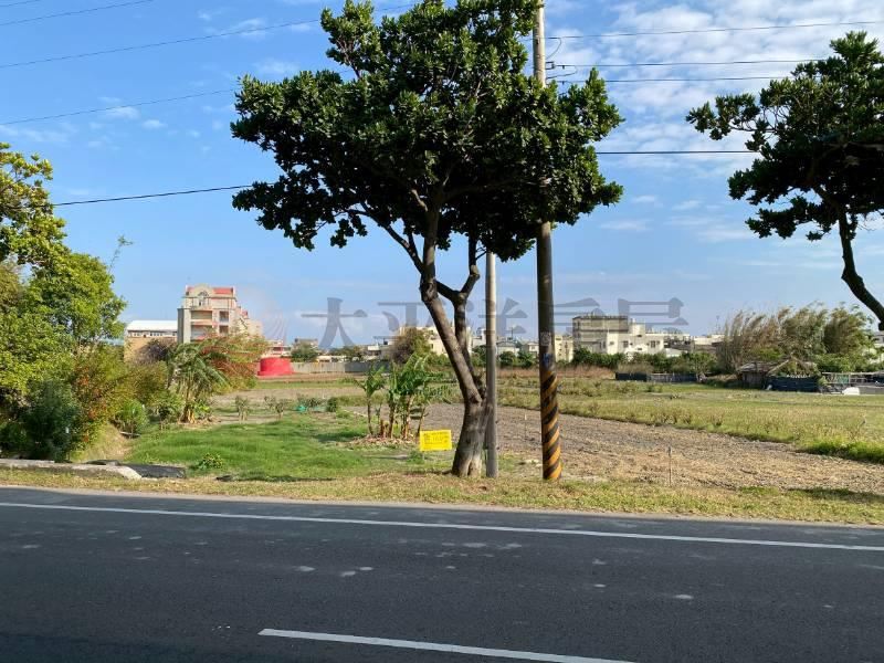 西濱有電臨路方正農地 照片3