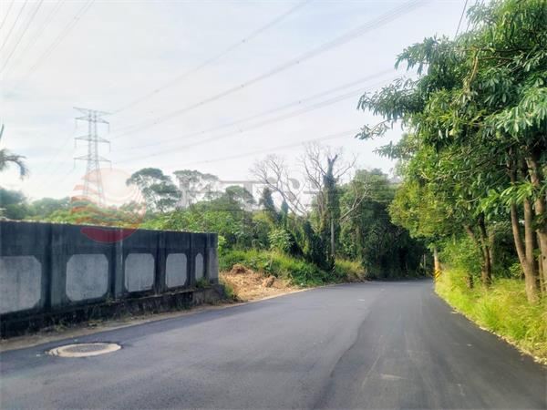 台灣大道旁方正土地 照片7
