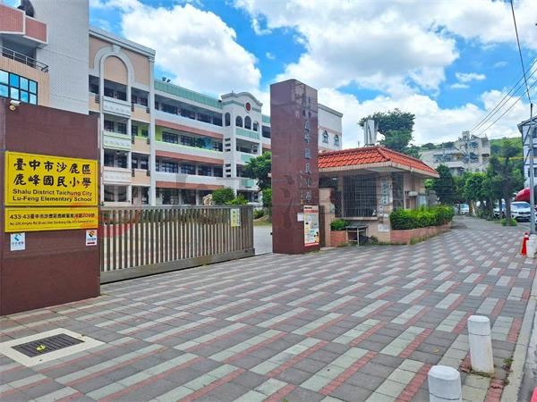 臨路9米5面寬雙車電梯別墅 照片5