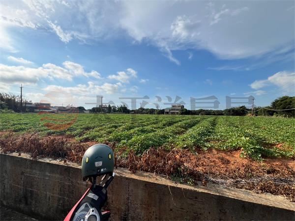 東山國小農地一三面路 照片2