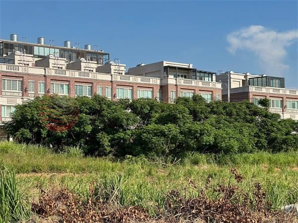 新光田大面寬黃金建地 照片2
