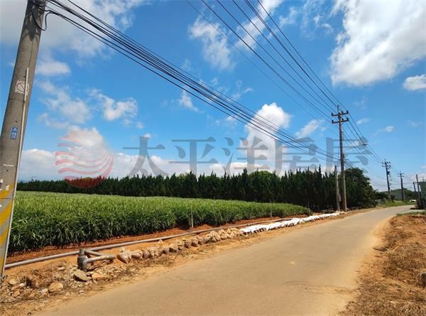 機場旁臨路方正農地 照片3