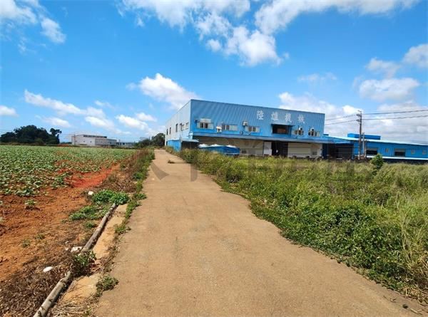 機場旁臨路方正農地 照片4