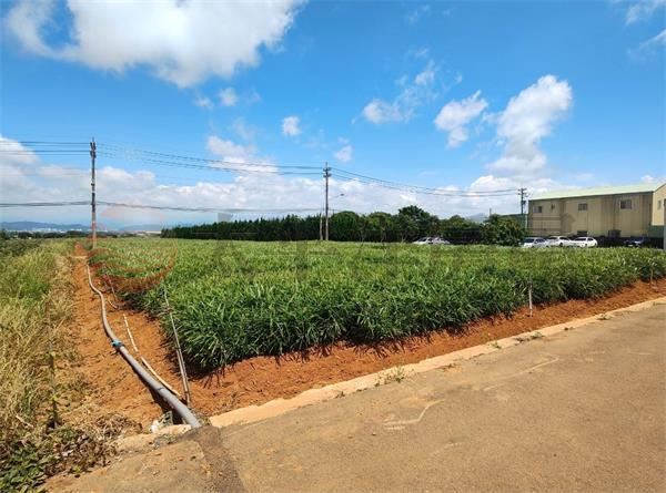 機場旁臨路方正農地 照片5