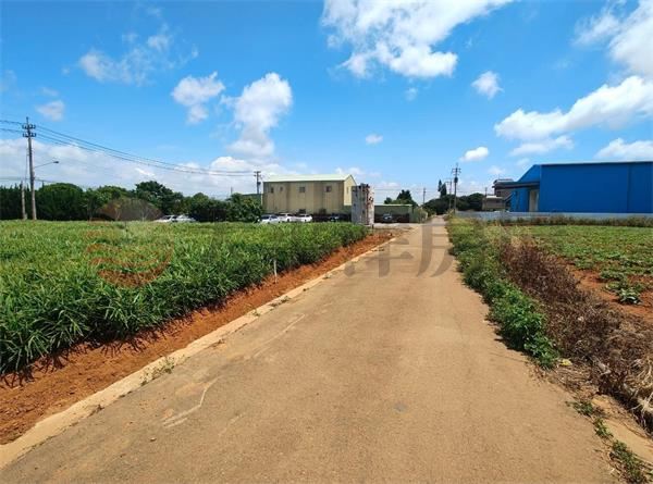 機場旁臨路方正農地 照片6