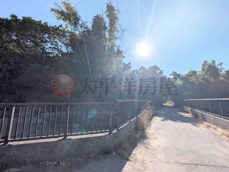沙鹿南勢段臨路持分保護地 照片1