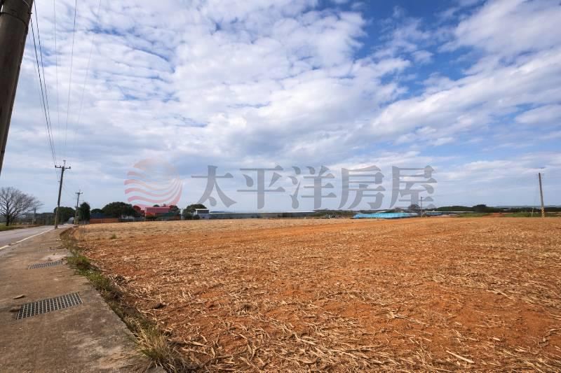 清水方正大坪數整平倉儲農地 照片2